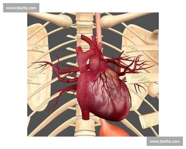 以恢复训练为核心促进运动能力全面提升的系统化实践研究方法探索